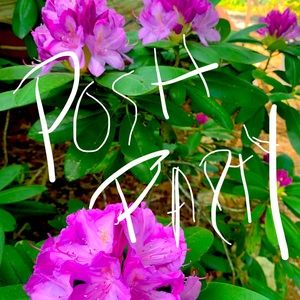 Posh party! Come hangout!